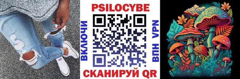 Галлюциногенные грибы Cubensis MEGA площадка телеграм Сосновый Бор