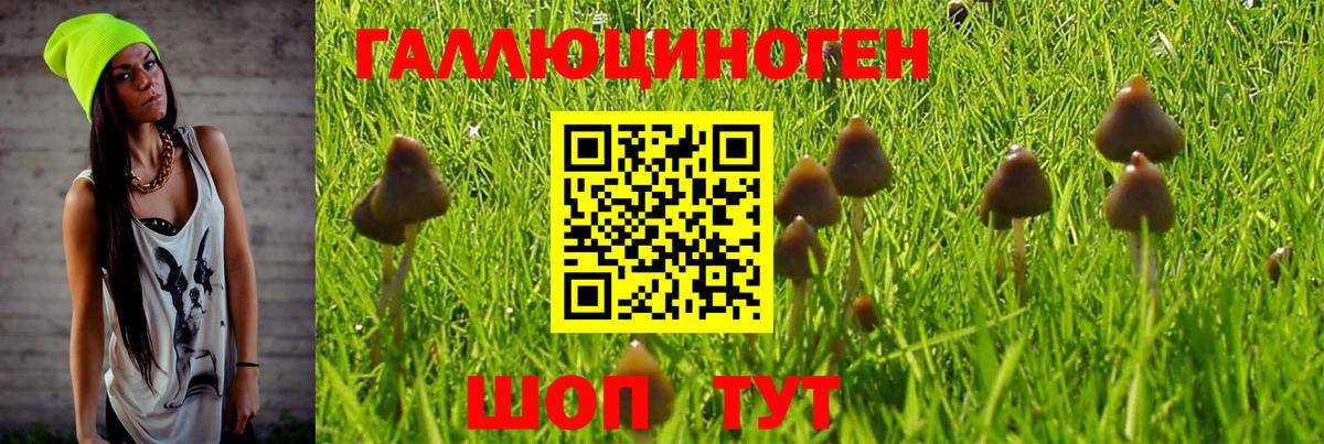 Сосновый Бор  Псилоцибиновые грибы GOLDEN TEACHER  купить наркотики сайты  Вход с VPN 