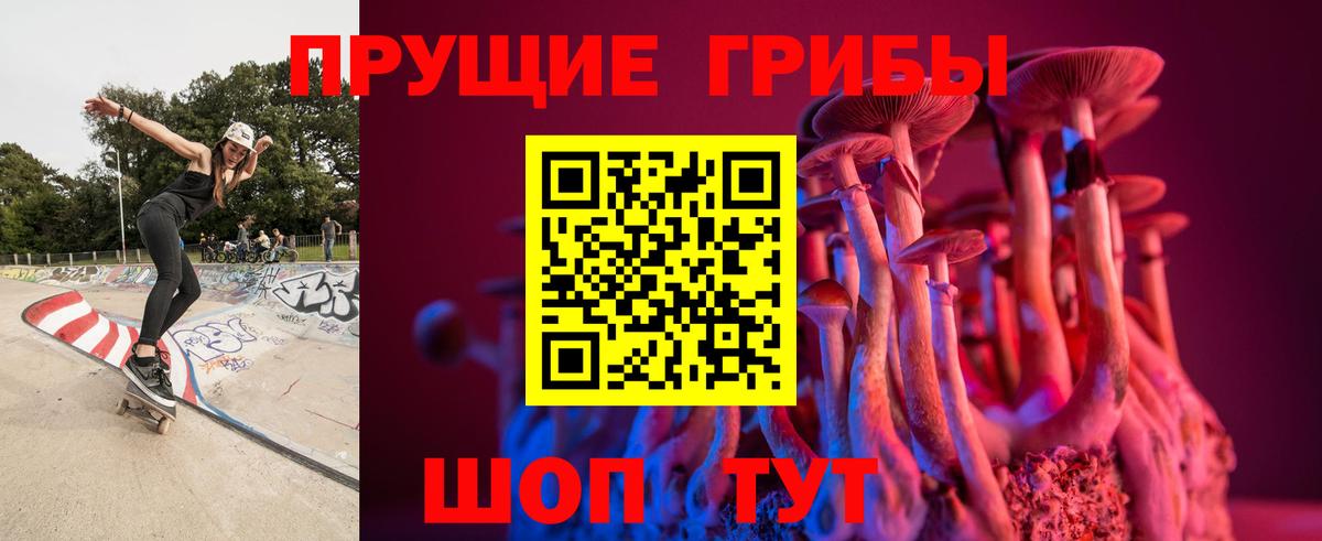 Галлюциногенные грибы Cubensis Сосновый Бор